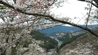桜の吉野山