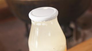 鮭がたくさん！