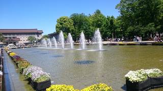 新緑も目映い！