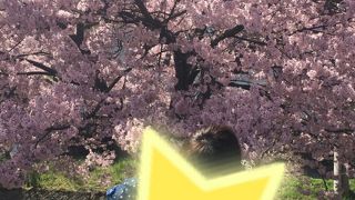 ベビーカーでは辛い階段