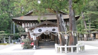 「瀬田の唐橋」から結構歩きました