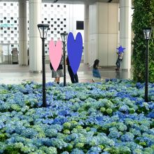 お花が綺麗でした　カップルも楽しそう