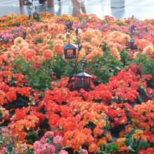 ５周年記念のイベント