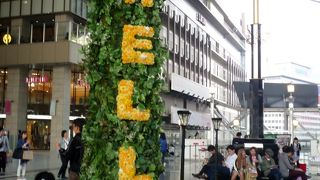 ５周年を迎えた時空の広場はお花がいっぱい！