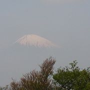 空に浮かぶような富士山を見ることができました。