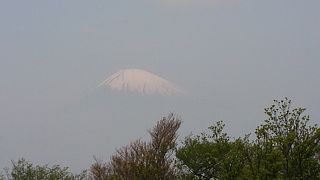 空に浮かぶような富士山を見ることができました。