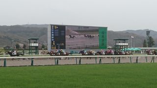 春・夏・秋に開催があります