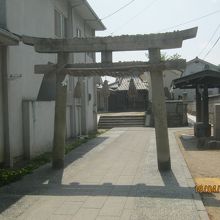 鳥居の奥に本殿が見れます。