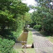新梅田シティに広がる自然の森。