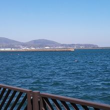 築港臨海公園からの海の景色