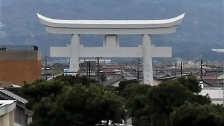 スケールの大きい鳥居