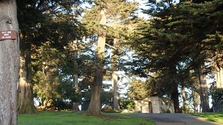 ペインテッド・レディズを望む公園