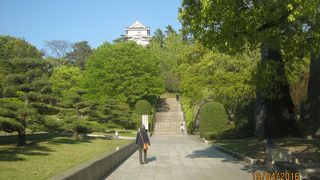 本丸と二の丸と三の丸の一部が公園になっています。