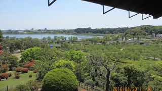 沼か河川の一部か