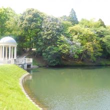 公園風景３