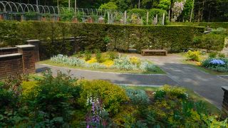 NHK「趣味の園芸」で紹介されている公園です。