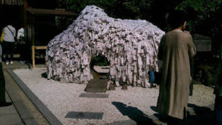 まったり。o(^o^)o