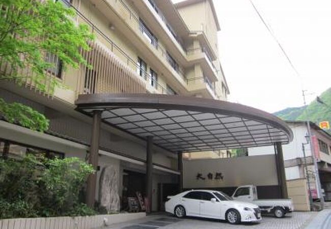 杖立温泉　杖立渓流の宿　大自然