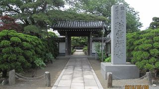 徳川家康が鷹狩りの時、鷹が戻らないので、この寺の薬師如来に祈願したところ、たちまち戻ったと伝えられています。