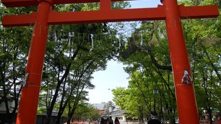 想像以上に広くてびっくり！