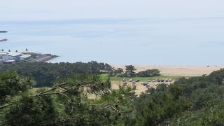 変化に富んだ松の景観が楽しめます