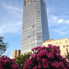 公園内から撮りました。