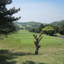 ＩＮ　１０番ホール