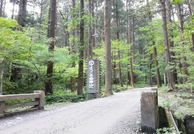 車が走らなければ、もっと良いのに・・。