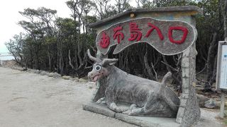 ～★☆水牛車に乗りながらのんびりと浅瀬の海を渡ります☆★～