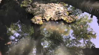 御護摩祈祷を希望される方は時間に注意しましょう