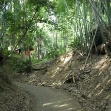 忍者が出てきそうな