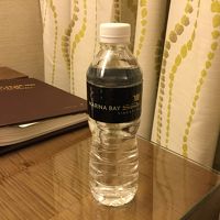 日本語案内とマリーナベイサンズの水