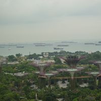 部屋から見えるガーデンズバイザベイ