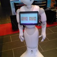 東急カードの紹介してました