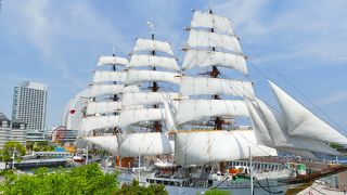 【帆船日本丸】意外とレアな総帆展帆