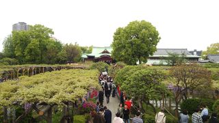 日曜日は人でいっぱい