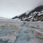 バスでアサバスカ氷河に上陸できます