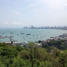 ビューポイント