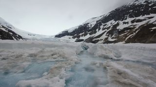 バスでアサバスカ氷河に上陸できます