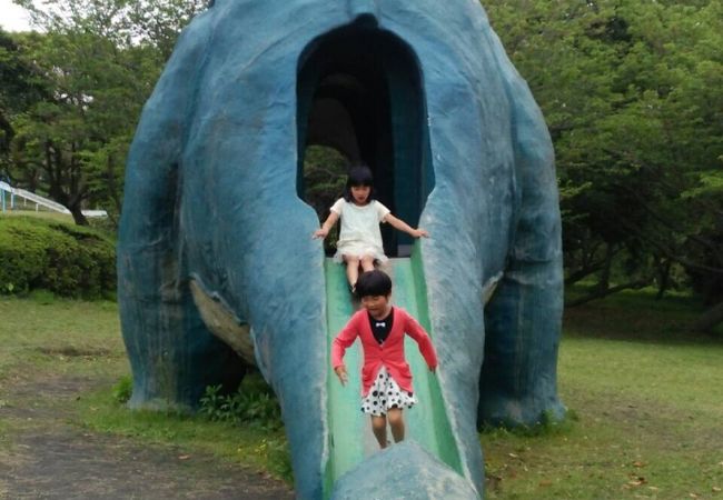 桜島自然恐竜公園 クチコミ アクセス 営業時間 桜島 古里温泉 フォートラベル