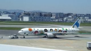 行ってらっしゃ～い。