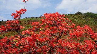散策をしながら景色の変化を楽しむというのがいいと思います
