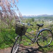 レンタサイクル de 春の果樹園回り