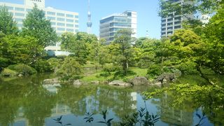 規模は小さいが、落ち着いた池泉廻遊式庭園として必見