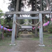 ツツジの公園で有名です