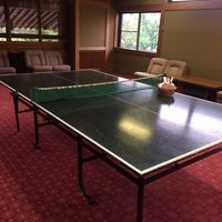 卓球台