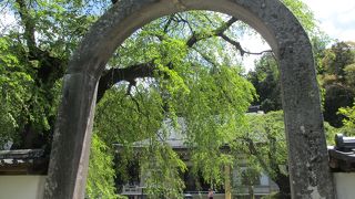 真田氏の菩提寺です