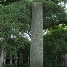 ９ｍ四方、高さ約3ｍの塚です