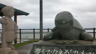 夢をかなえる亀さんがいます