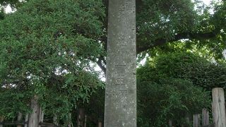 国道17号線沿いにありました